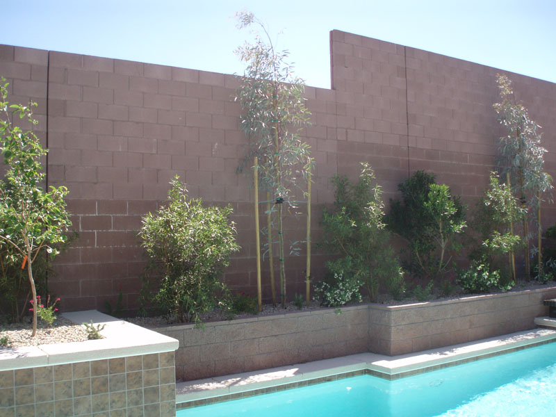 custom pools and spas by greencare.net